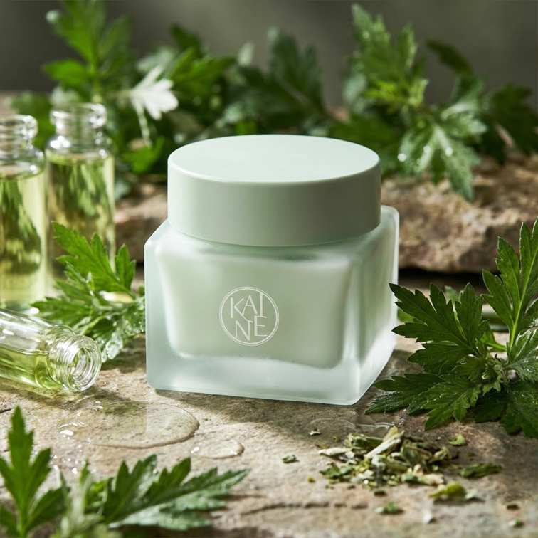 Kaine Green Calm Aqua Cream - 70ml