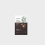 Innisfree-Jeju-Root-Energy-Mask-Potato-20g.png