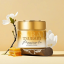 Shiseido-Tsubaki-Premium-Repair-Hair-Mask-180g.png